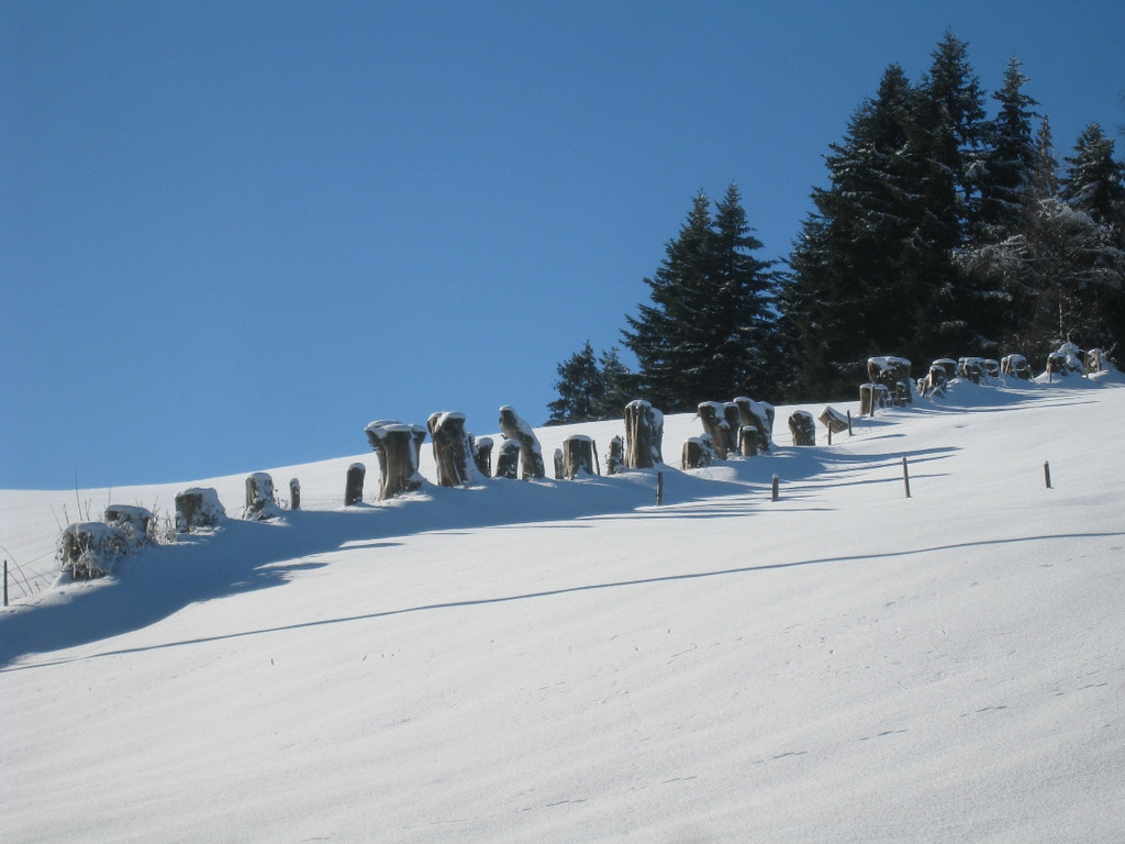 Winterwandern am Pfaender 2012 _10__jpg-1326644145