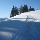 Winterwandern am Pfaender 2012 _11__jpg-1326644149