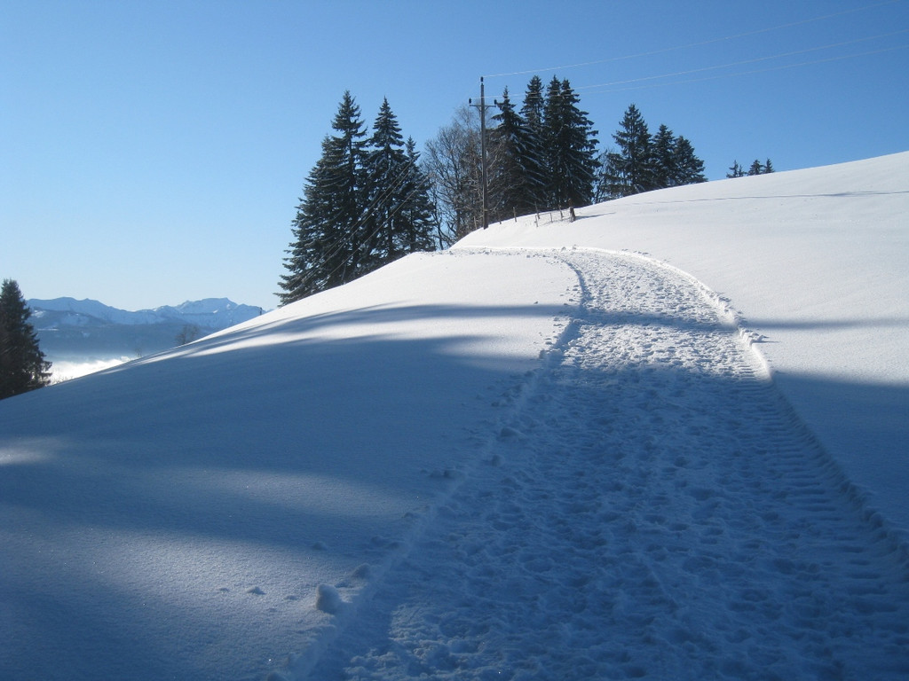 Winterwandern am Pfaender 2012 _11__jpg-1326644149
