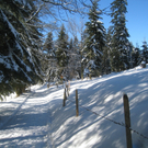 Winterwandern am Pfaender 2012 _12__jpg-1326644155