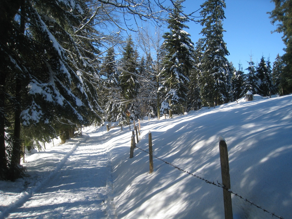 Winterwandern am Pfaender 2012 _12__jpg-1326644155