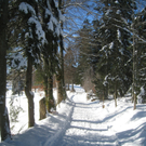 Winterwandern am Pfaender 2012 _13__jpg-1326644162