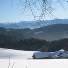 Winterwandern am Pfaender 2012 _14__jpg-1326644166
