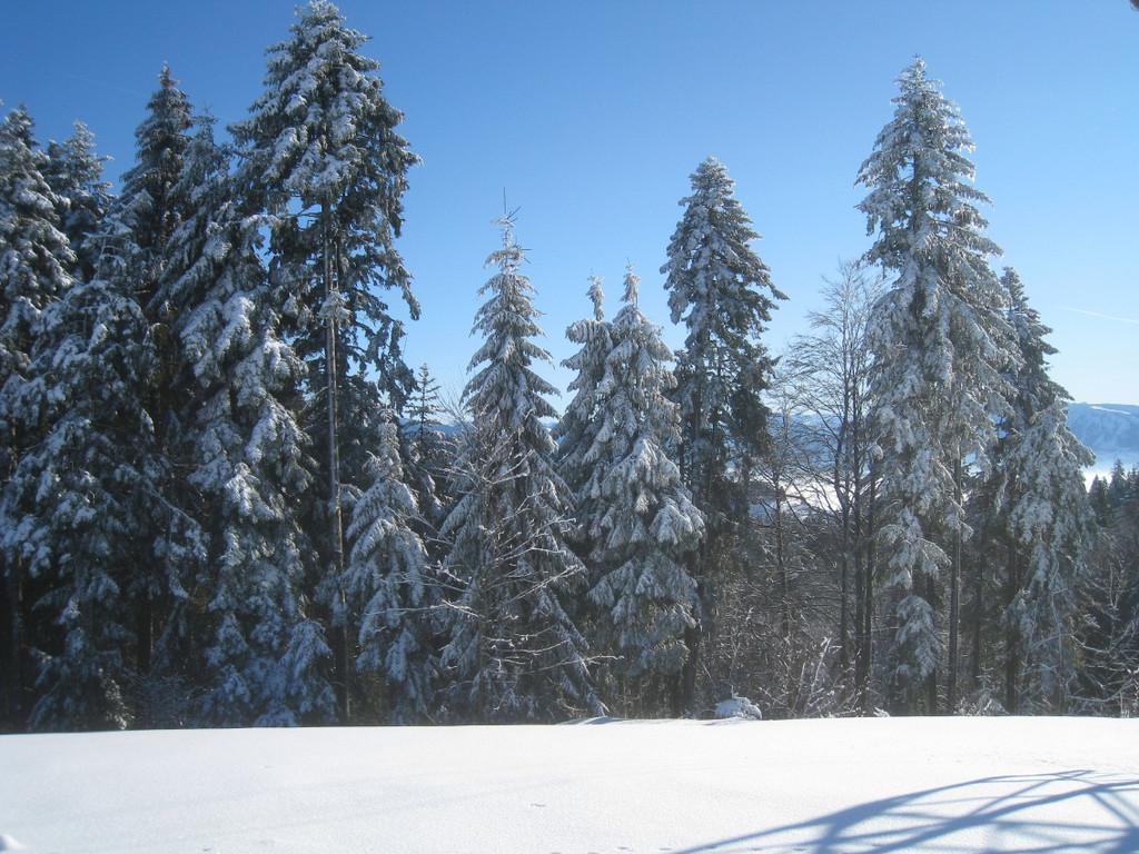 Winterwandern am Pfaender 2012 _17__jpg-1326644219