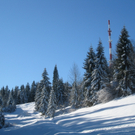 Winterwandern am Pfaender 2012 _20__jpg-1326644232