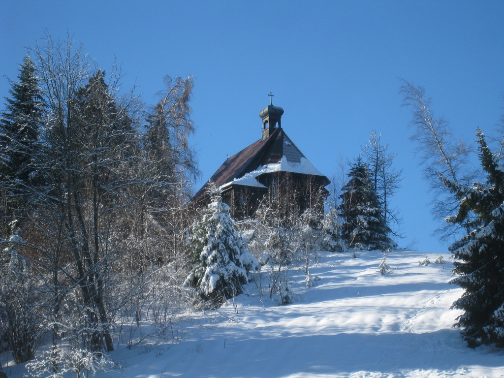 Winterwandern am Pfaender 2012 _21__jpg-1326644237