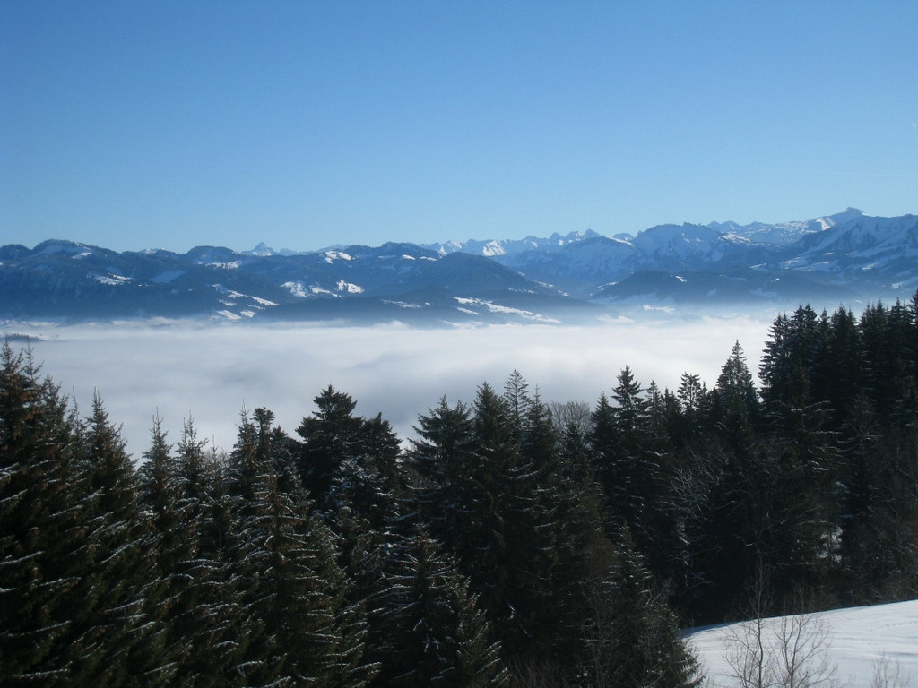 Winterwandern am Pfaender 2012 _22__jpg-1326644241