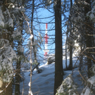 Winterwandern am Pfaender 2012 _25__jpg-1326644257