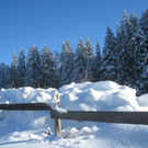 Winterwandern am Pfaender 2012 _27__jpg-1326644268