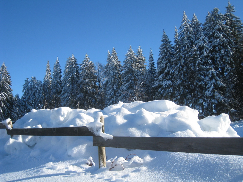 Winterwandern am Pfaender 2012 _27__jpg-1326644268