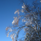 Winterwandern am Pfaender 2012 _31__jpg-1326644289