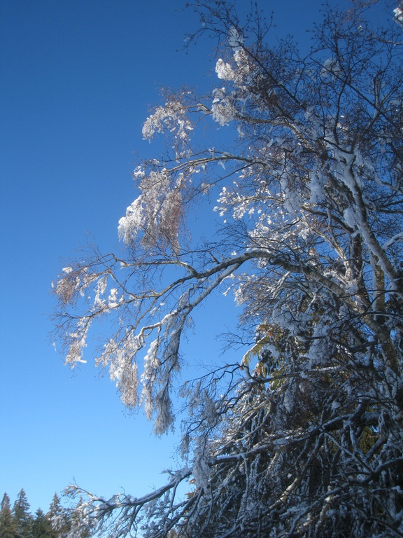 Winterwandern am Pfaender 2012 _31__jpg-1326644289