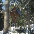 Winterwandern am Pfaender 2012 _32__jpg-1326644295