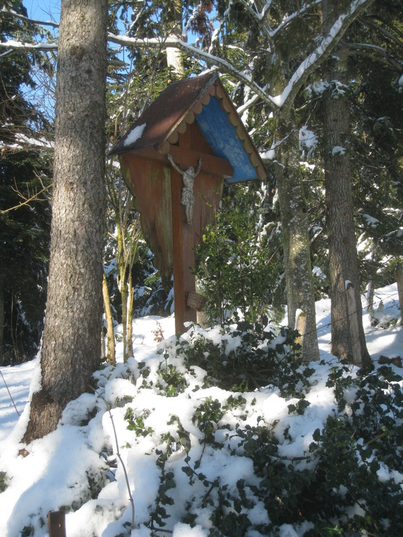 Winterwandern am Pfaender 2012 _32__jpg-1326644295