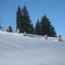 Winterwandern am Pfaender 2012 _33__jpg-1326644299