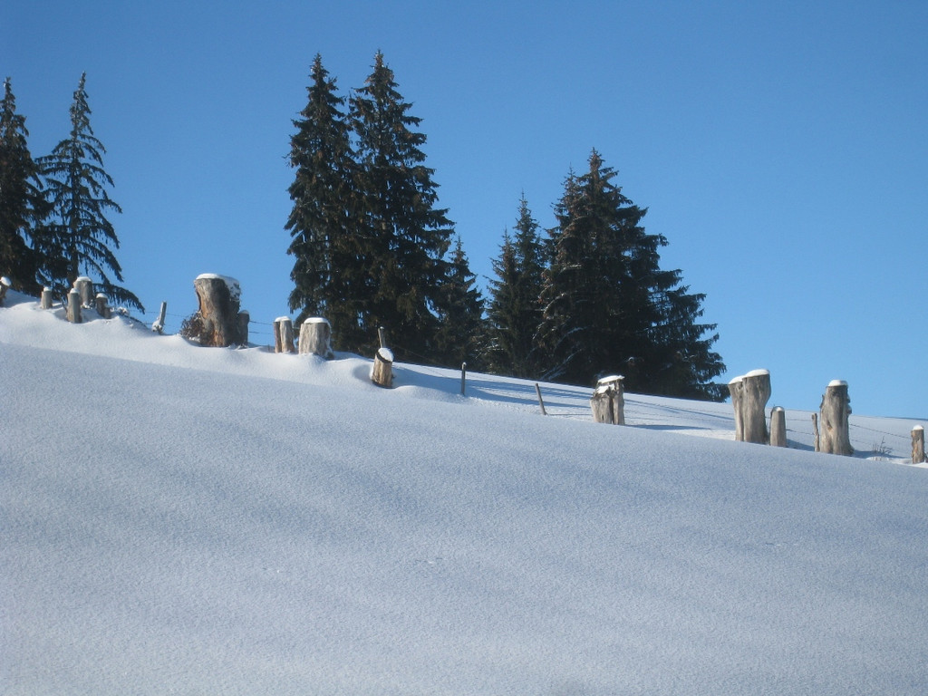 Winterwandern am Pfaender 2012 _33__jpg-1326644299