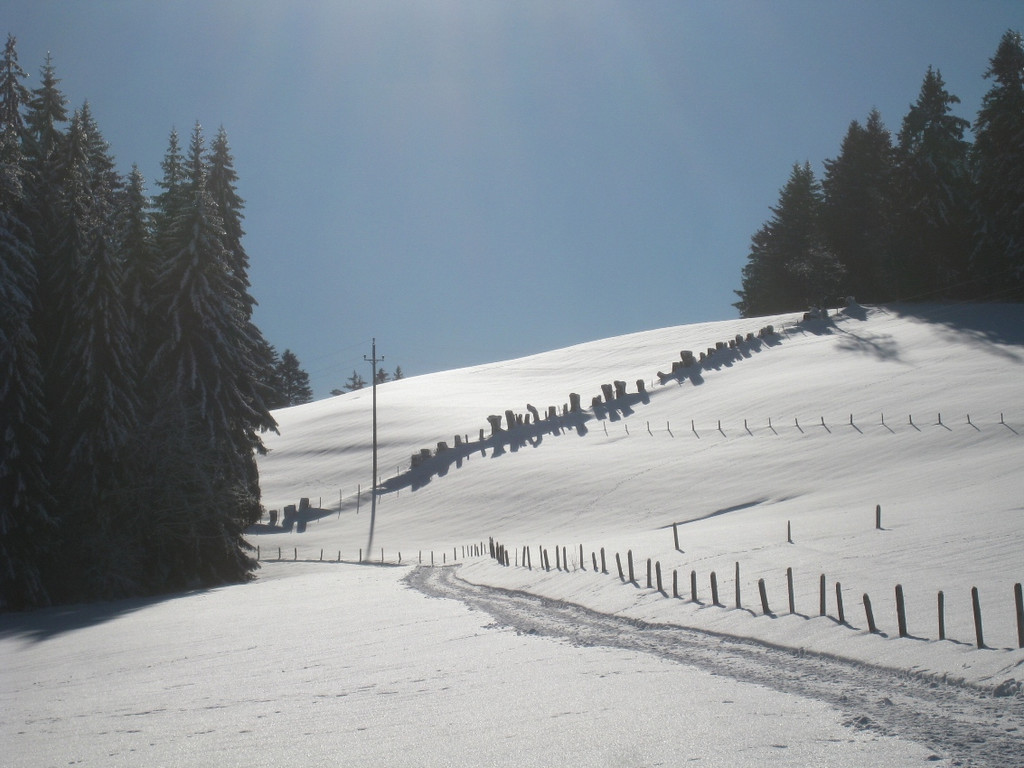 Winterwandern am Pfaender 2012 _34__jpg-1326644303