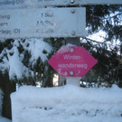 Winterwandern am Pfaender 2012 _30__jpg-1326644284
