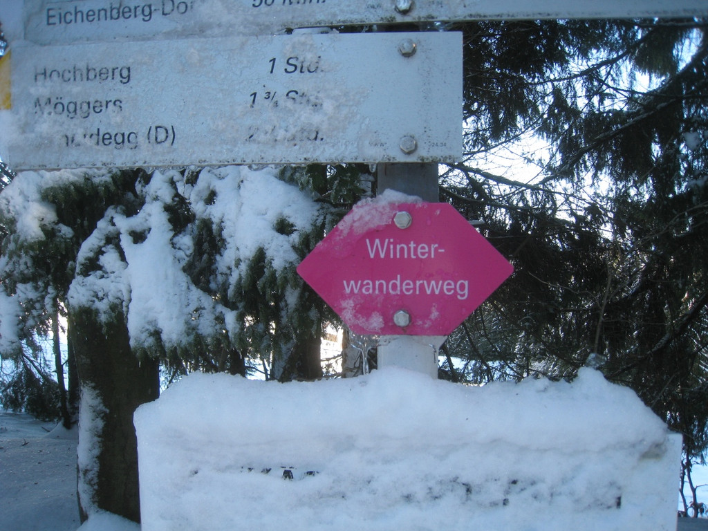 Winterwandern am Pfaender 2012 _30__jpg-1326644284