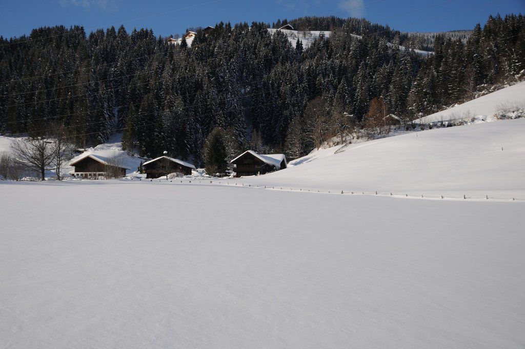 150112spaziergang04003aktivnews004.JPG