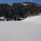 150112spaziergang04003aktivnews004.JPG