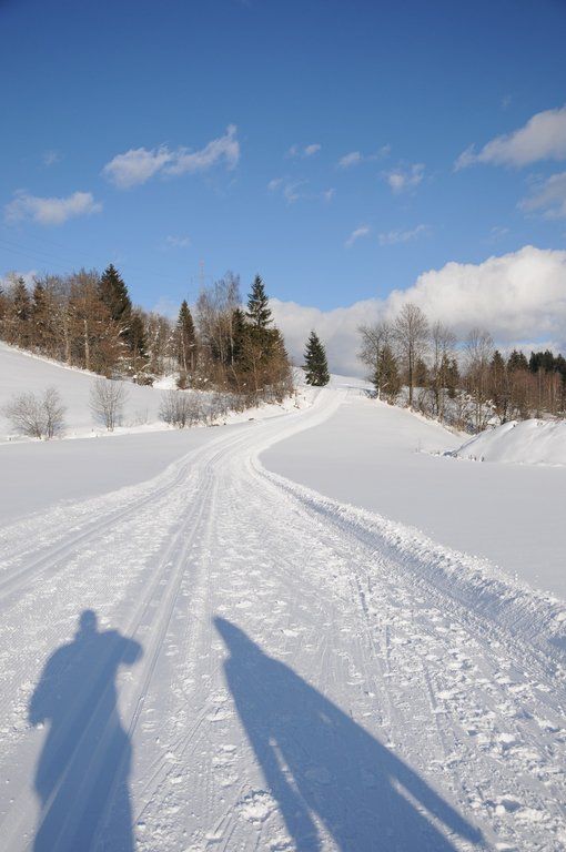 150112spaziergang04003aktivnews005.JPG