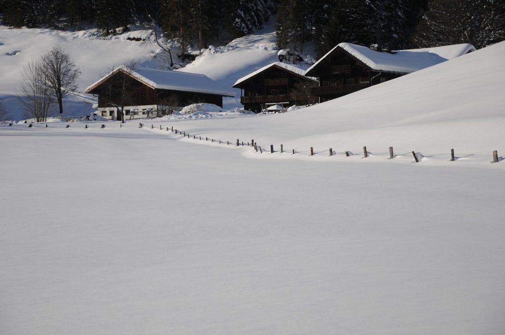 150112spaziergang04003aktivnews006.JPG