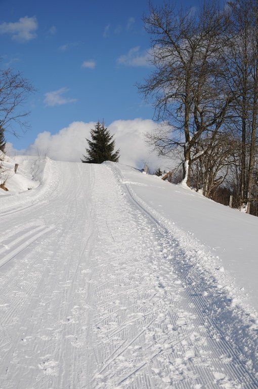 150112spaziergang04003aktivnews008.JPG