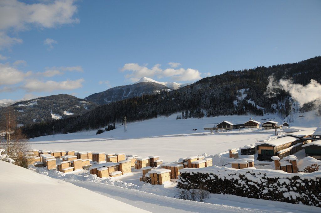 150112spaziergang04003aktivnews009.JPG