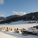 150112spaziergang04003aktivnews009.JPG