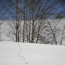 150112spaziergang04003aktivnews012.JPG