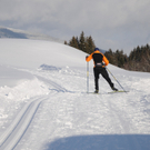 150112spaziergang04003aktivnews015.JPG