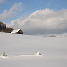 150112spaziergang04003aktivnews019.JPG