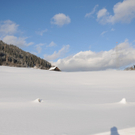 150112spaziergang04003aktivnews021.JPG