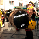 DSC_6843.jpg