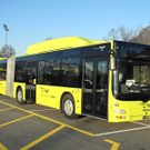 DSCN9409_jpg-1326650689