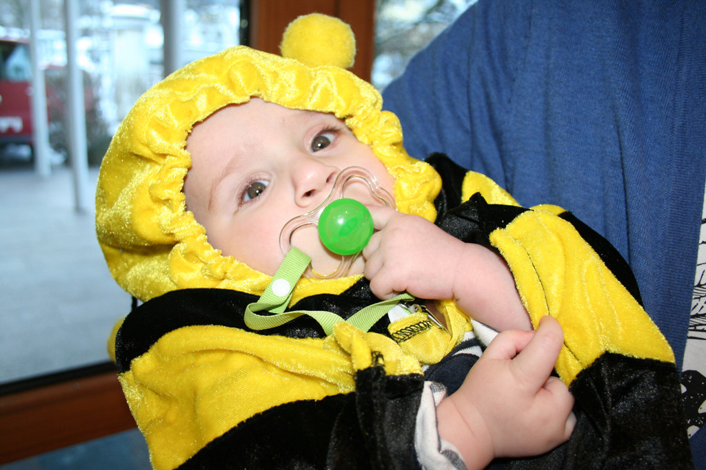 IMG_5019_jpg-1326650396