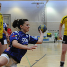 titel stiplovsek_jpg-1326653168