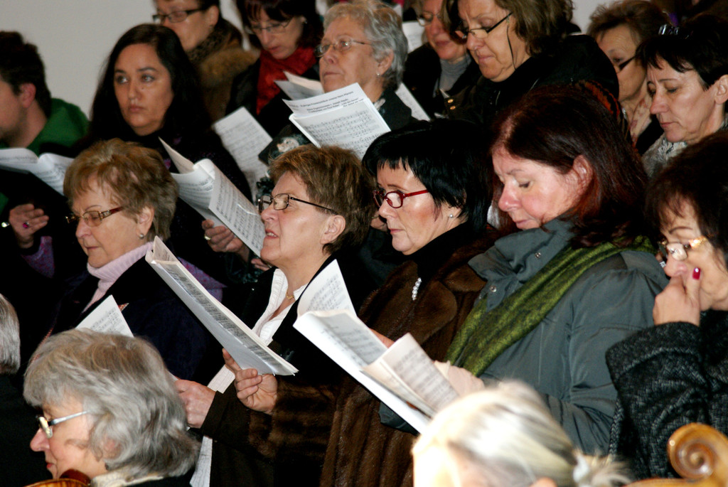 DSC03038_JPG-1326657870