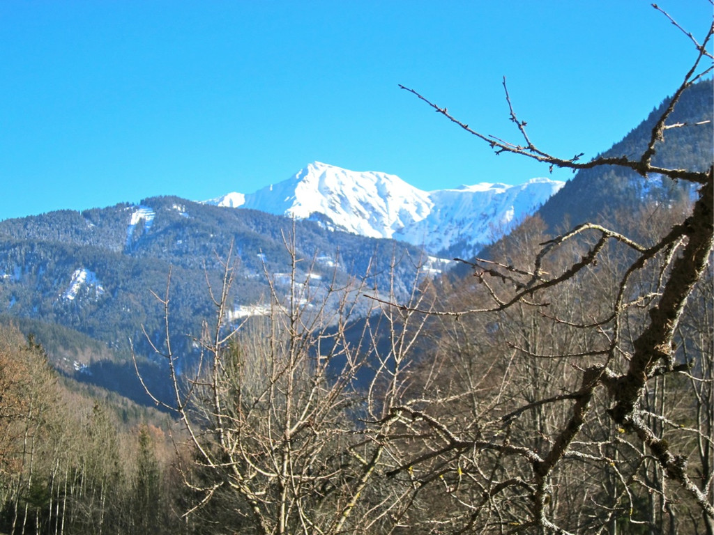 KOE_Almeinalpe 4_jpg-1326661739