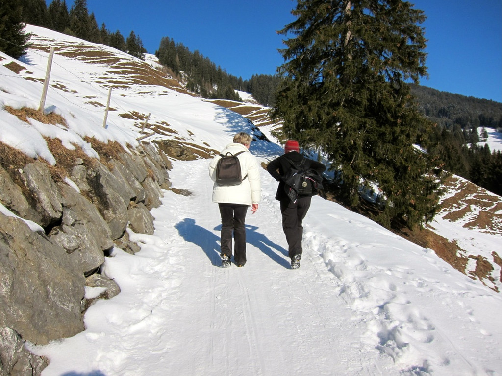 KOE_Almeinalpe 15_jpg-1326661822