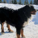 KOE_Almeinalpe 22_jpg-1326661873