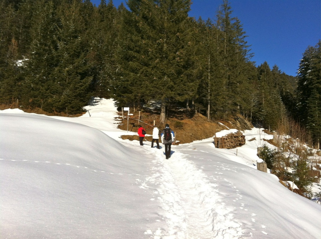 KOE_Almeinalpe 30_jpg-1326661932