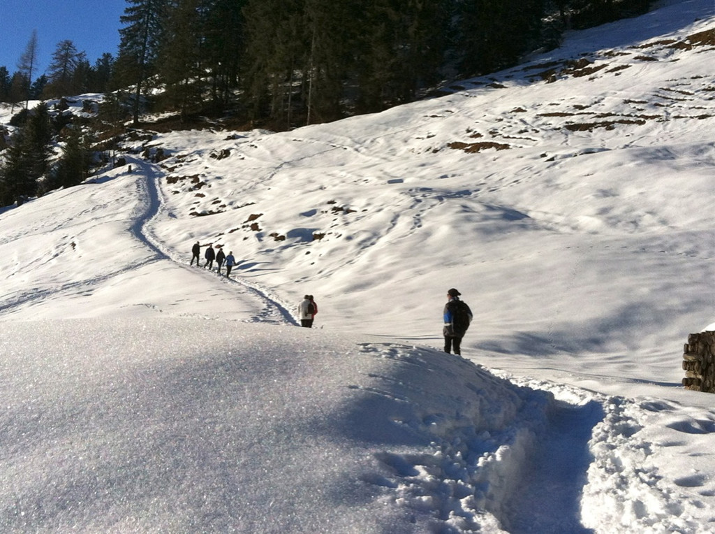 KOE_Almeinalpe 31_jpg-1326661939