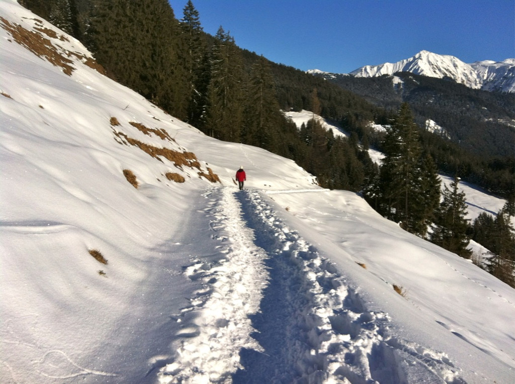 KOE_Almeinalpe 35_jpg-1326661968