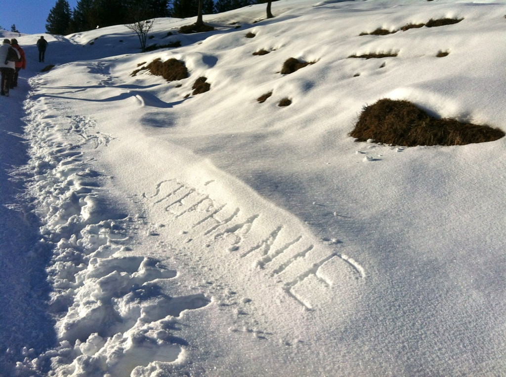 KOE_Almeinalpe 36_jpg-1326661976