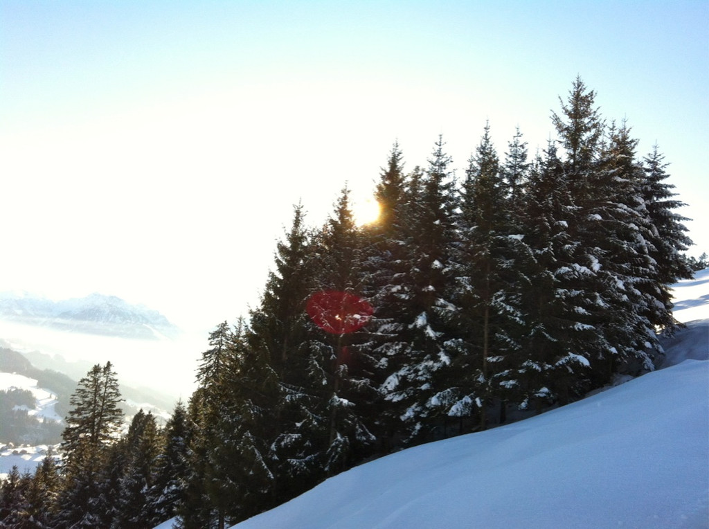 KOE_Almeinalpe 37_jpg-1326661982