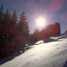 KOE_Almeinalpe 39_jpg-1326661994