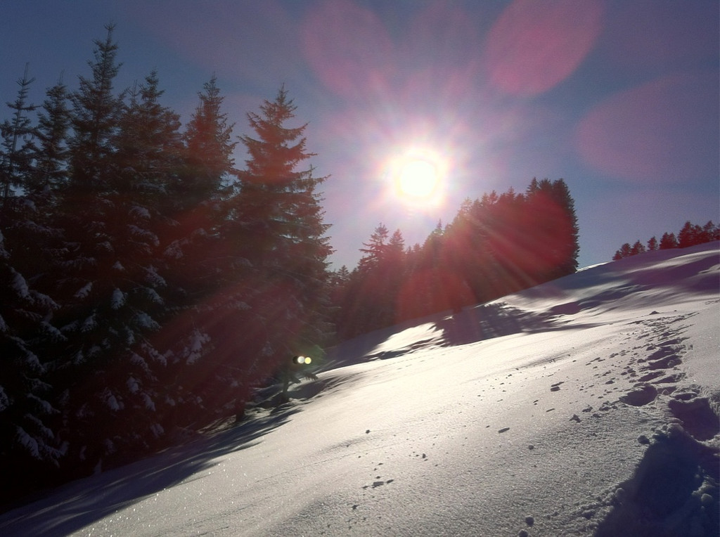 KOE_Almeinalpe 39_jpg-1326661994