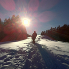 KOE_Almeinalpe 43_jpg-1326662023